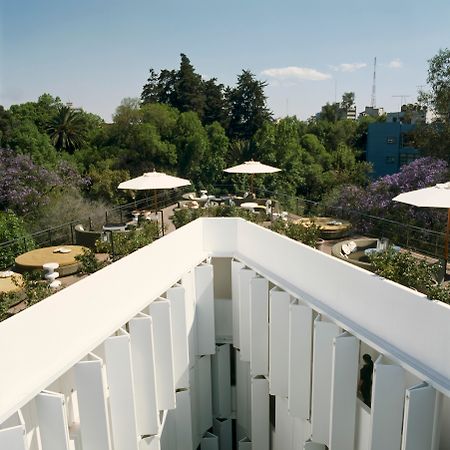 Condesa Df, Mexico City, A Member Of Design Hotels Restaurace fotografie