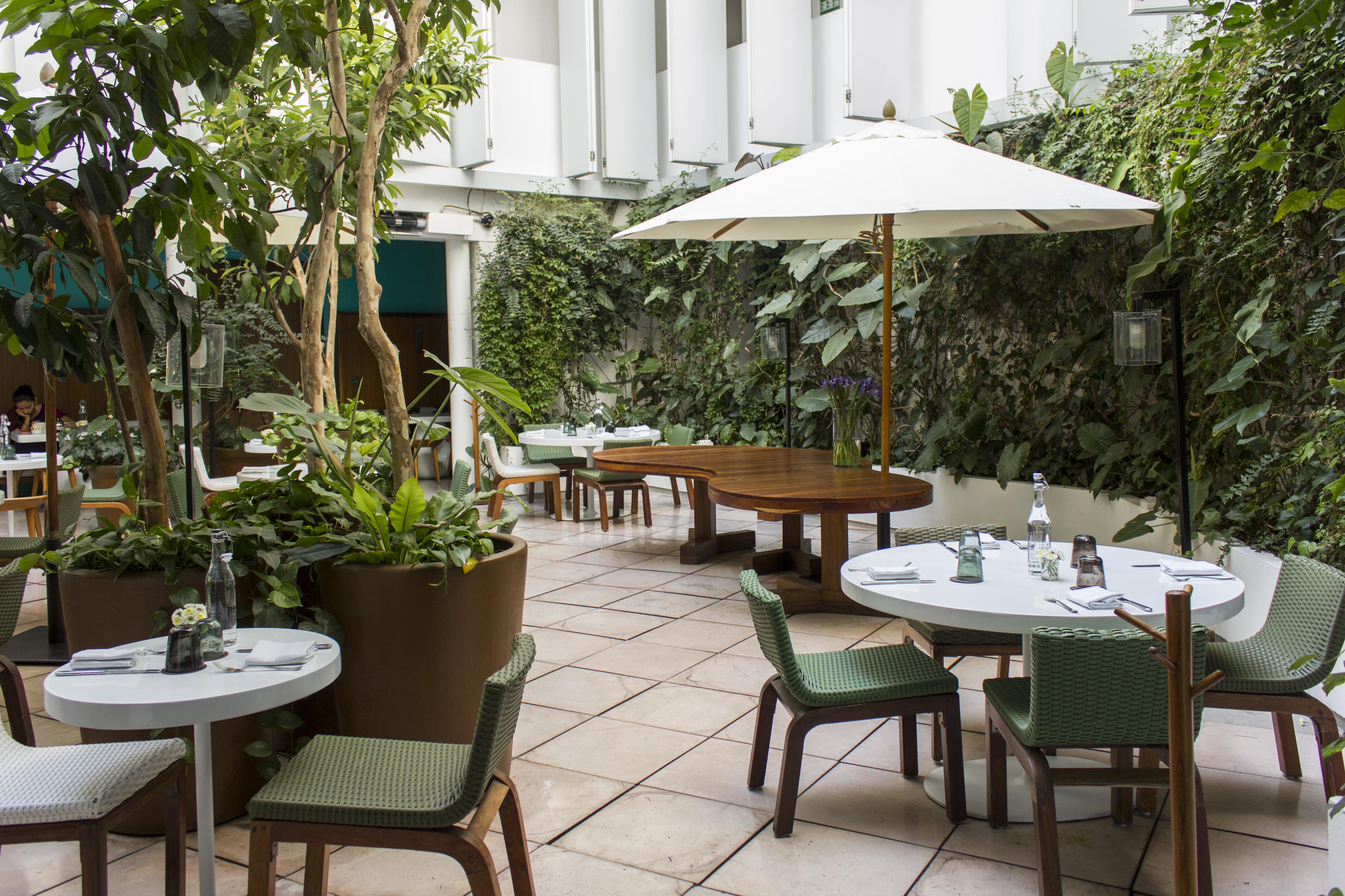 Condesa Df, Mexico City, A Member Of Design Hotels Exteriér fotografie